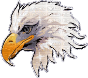 Tête d'aigle - 無料のアニメーション GIF