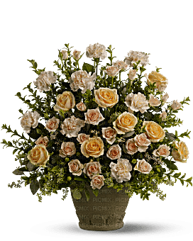 Kaz_Creations Deco Flowers Vase Colours Plant - png ฟรี