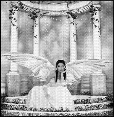 angel engel ange - kostenlos png
