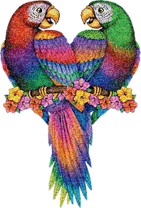 multicolore image encre animé effet oiseaux perroquet briller edited by me - GIF animado grátis