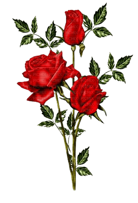 red vintage roses - png ฟรี