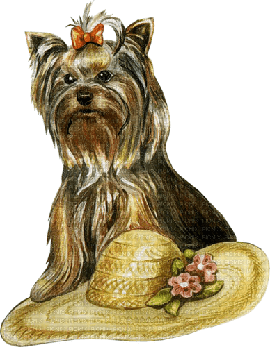 dolceluna spring dog - ücretsiz png