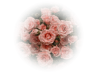 dulcineia8 flores - PNG gratuit