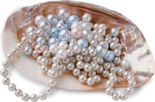 Pearls  Bb2 - kostenlos png