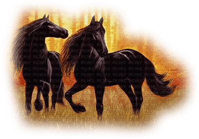 chevaux - ücretsiz png