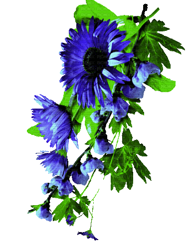 Animated.Flowers.Blue - By KittyKatLuv65 - Бесплатный анимированный гифка