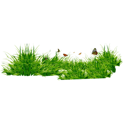 grass bp - Free PNG
