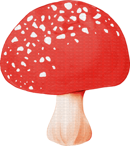red mushroom autumn kikkapink - bezmaksas png