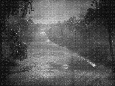stormy weather - GIF animé gratuit