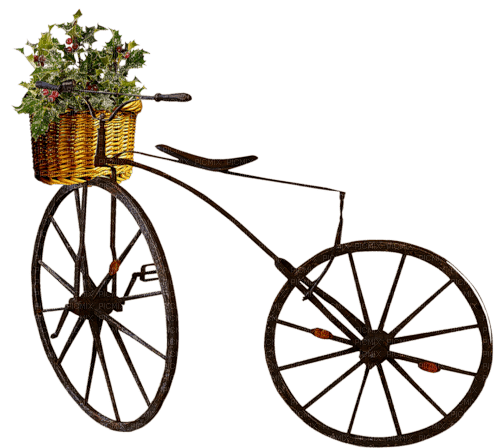 deco bicicleta dubravka4 - kostenlos png
