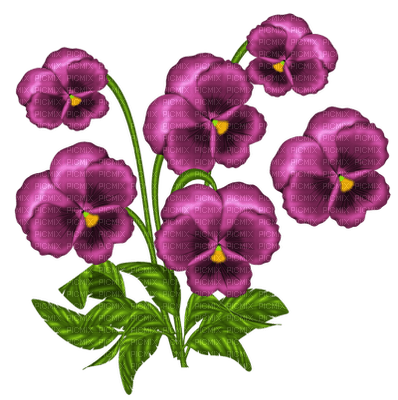 flower, Violet - δωρεάν png