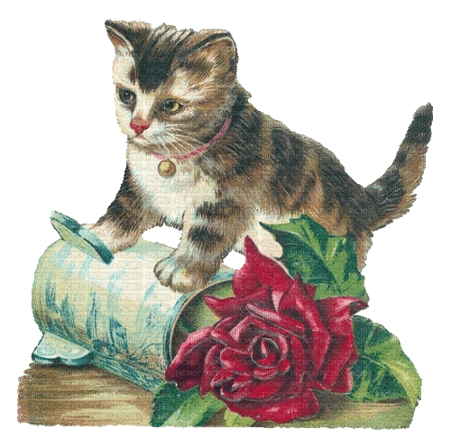 Cat, Katze, Rose, Baumstamm, Vintage - 無料のアニメーション GIF