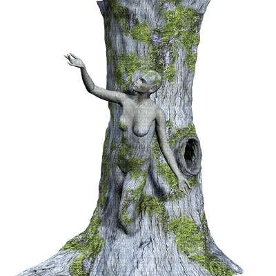 Tree-Stock - безплатен png