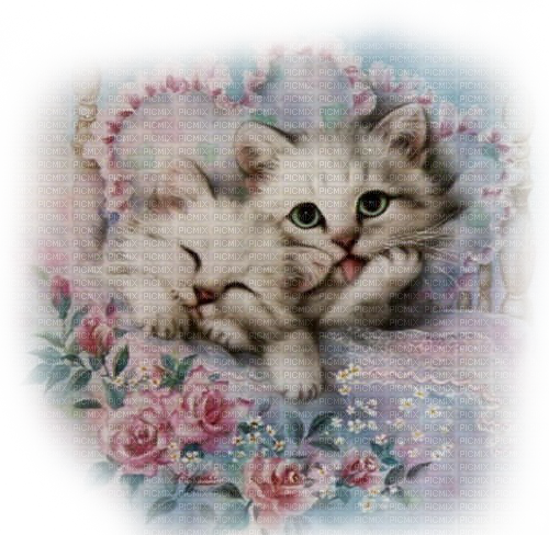 kikkapink vintage pastel color cat cats spring - png gratuito