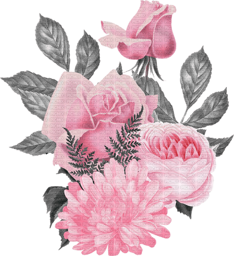 aquarelle, été, fleur, Orabel - png grátis