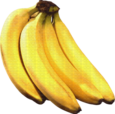 frukt-bananer - png ฟรี