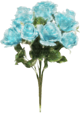 blue roses bouquet - GIF animé gratuit