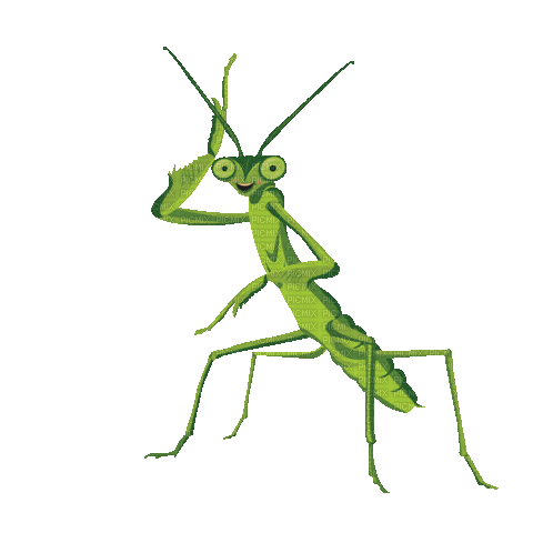 Waving Praying Mantis - Безплатен анимиран GIF