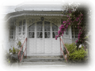 paysage maison créole et fleur - zdarma png