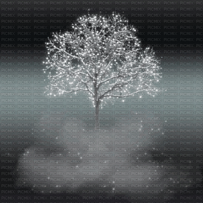 sparkling winter tree - Ilmainen animoitu GIF