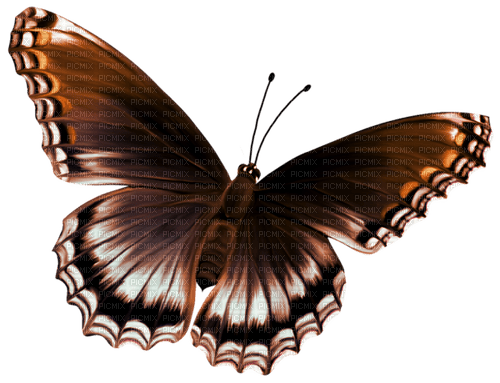 autumn deco kikkapink png butterfly brown - gratis png