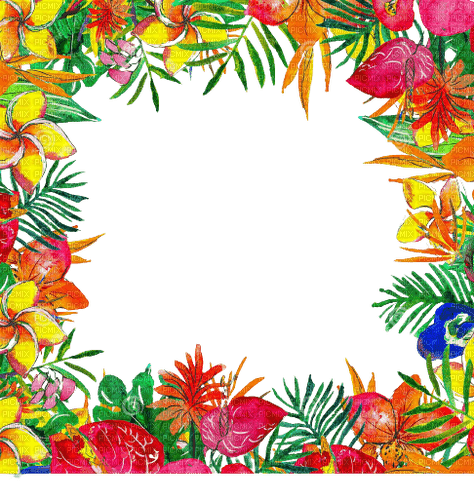 loly33 frame fleur exotique - PNG gratuit