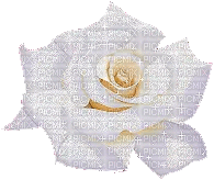 white glitter rose - Gratis animerad GIF