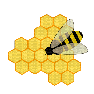 abeille, miel,gif,Karina10rus - Animovaný GIF zadarmo