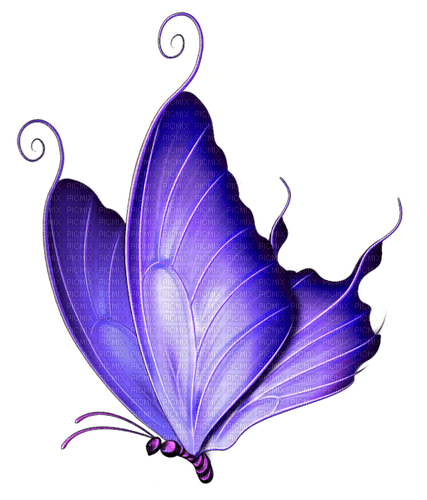 purple butterfly 3 - png ฟรี