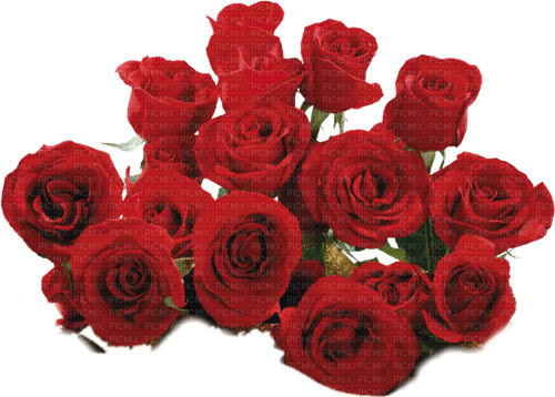 Bouquet of  red roses - ücretsiz png