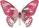 soave deco butterfly pink green - PNG gratuit