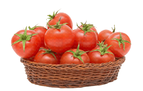 nbl-tomato - фрее пнг