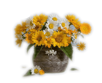 vase fleur - nemokama png
