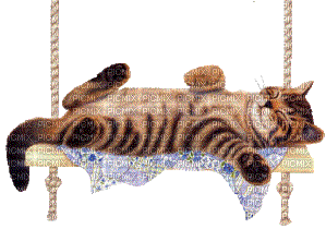cat laurachan - Darmowy animowany GIF