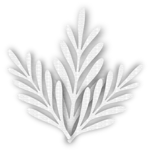 leaves Bb2 - 免费PNG