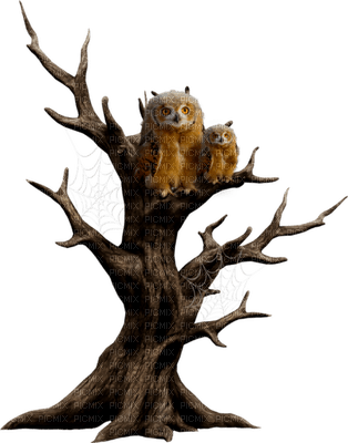Kaz_Creations Trees Tree - bezmaksas png