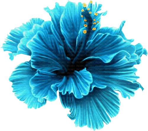 blue flower - darmowe png