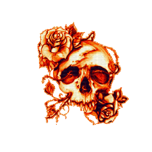 skull - Ingyenes animált GIF