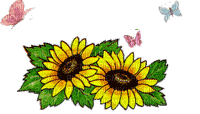 Yellow Flowers Animation - 免费动画 GIF