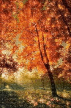 autumn background - GIF animado grátis