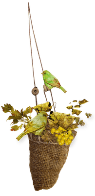 bird cage anastasia - 免费PNG