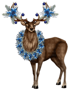 Cerf à Noël - nemokama png