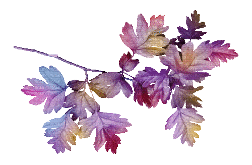 Branch.Leaves.Purple.Animated - KittyKatLuv65 - Ücretsiz animasyonlu GIF