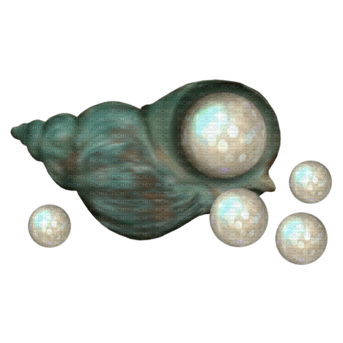 kikkapink teal summer deco pearls shell seashell - δωρεάν png