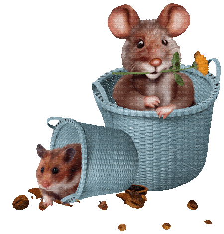mouse - Ingyenes animált GIF