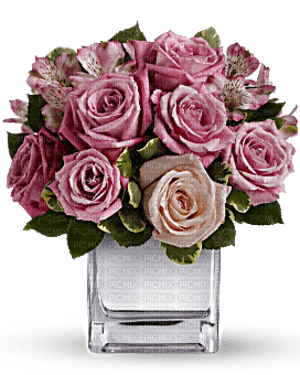 Kaz_Creations  Deco Flowers Vase Colours - gratis png