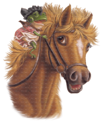 cheval Danna1 - kostenlos png