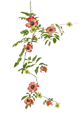soave deco animated branch flowers - Ilmainen animoitu GIF