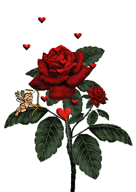 rose rouge coeurs 1 - Ingyenes animált GIF
