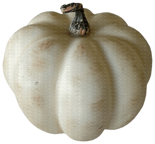 autumn pumpkin2 - Free PNG